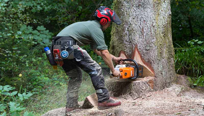 Elagage Arbres - OTPRO ÉLAGUEUR dans la Sarthe (72) : service d'élagage, taille, abattage des arbres, débitage des arbres à terre, débrousaillage et évacuation des déchets verts .... intervention dans toute la Sarthe (72)