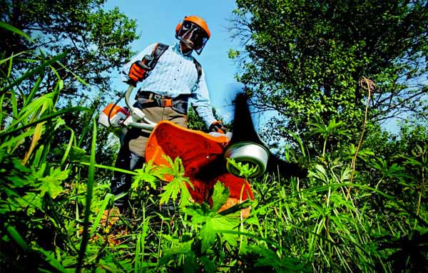 Elagage Arbres - OTPRO ÉLAGUEUR dans la Sarthe (72) : service d'élagage, taille, abattage des arbres, débitage des arbres à terre, débrousaillage et évacuation des déchets verts .... intervention dans toute la Sarthe (72)