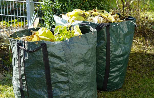 Elagage Arbres - OTPRO ÉLAGUEUR dans la Sarthe (72) : service d'élagage, taille, abattage des arbres, débitage des arbres à terre, débrousaillage et évacuation des déchets verts .... intervention dans toute la Sarthe (72)