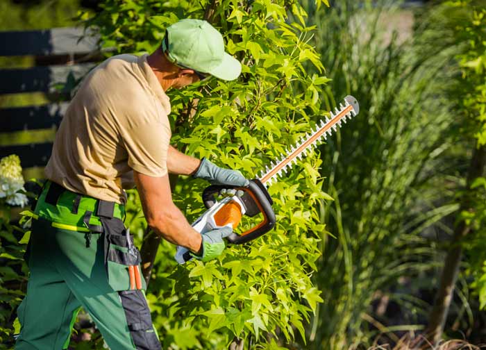 OTPRO ÉLAGUEUR jardinier paysagiste dans la Sarthe (72) : Élagage, taille et abattage d’arbres, débroussaillage, évacuation des déchets verts, tailles des haies, tonte de pelouse, pose de clôture .., brise-vue, grillage ... Intervention dans la Sarthe (72)